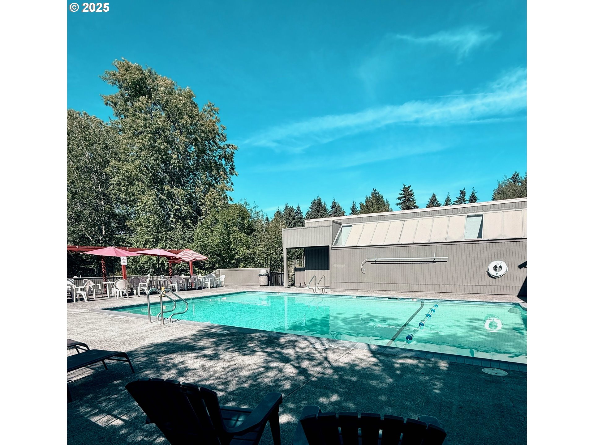 Photo #37: 242518978 Listing: Photo #37