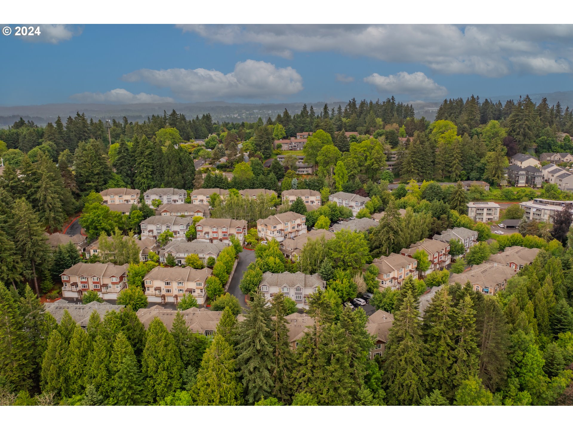 Photo #2: 24254501 Listing 