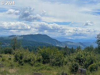 Photo of Rattlesnake RD Husum WA 98623