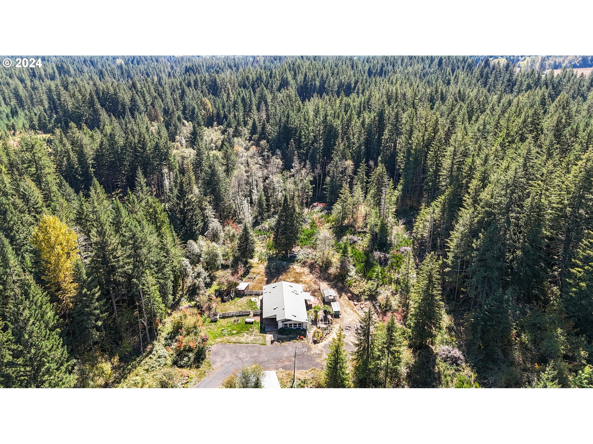 801  Hemlock Rd, Carson, WA 98610