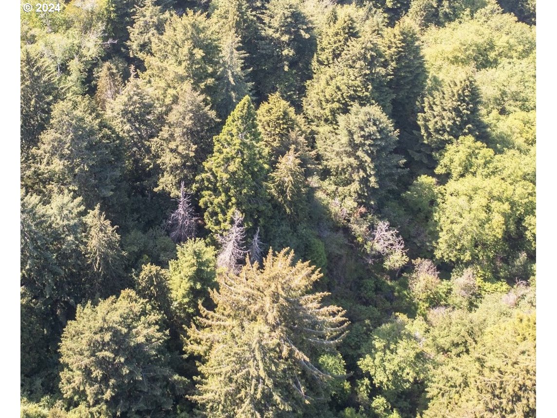 Search Homes for Sale