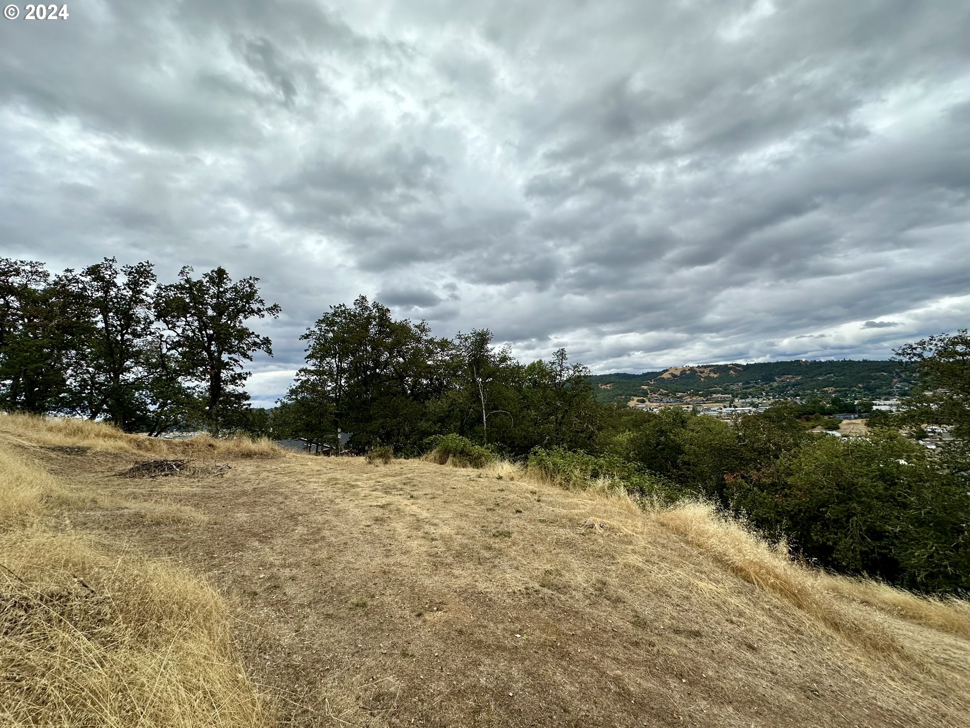 1930 NW DOGWOOD ST, Roseburg, OR, 97471