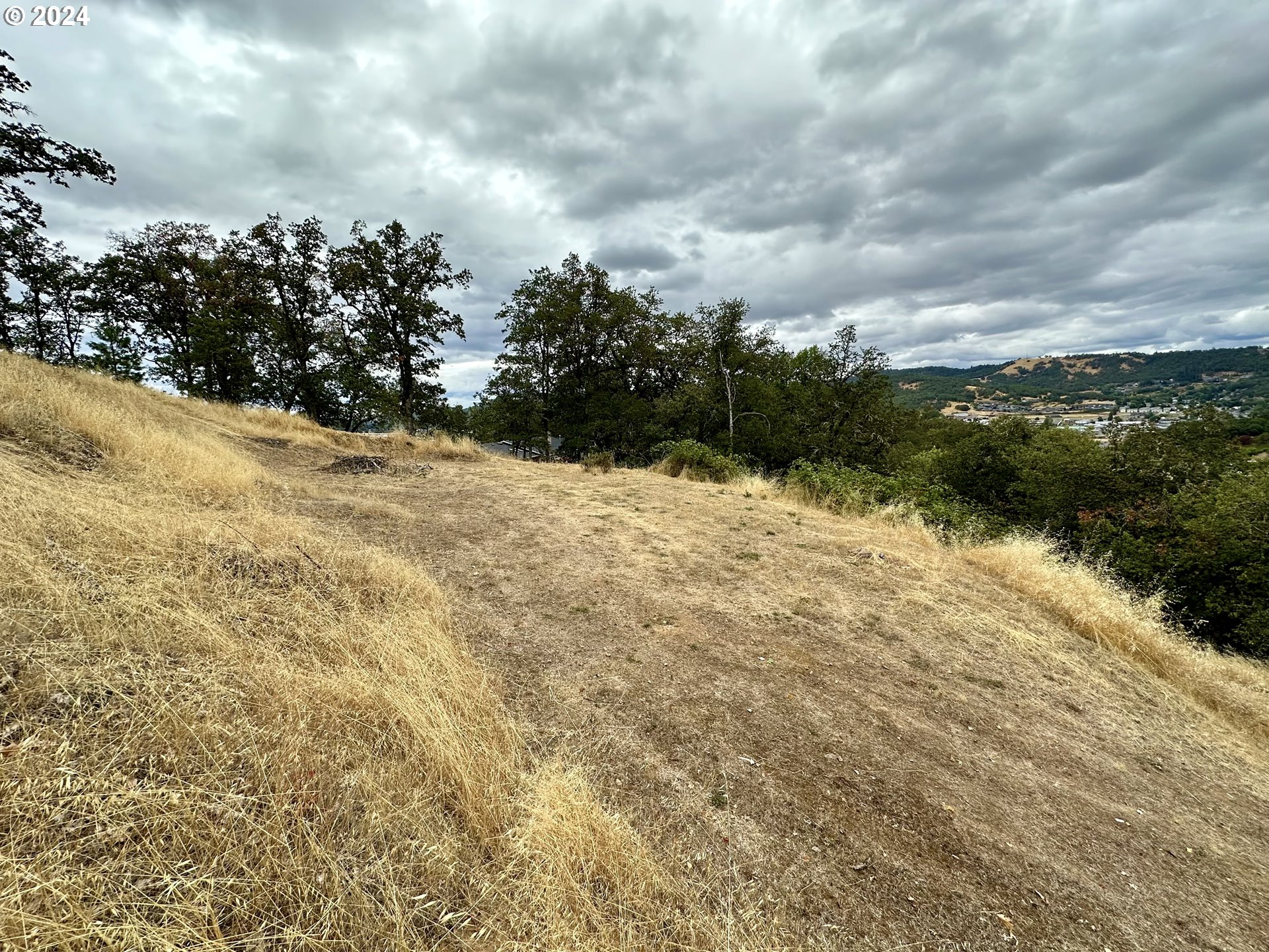 1930 NW DOGWOOD ST, Roseburg, OR, 97471