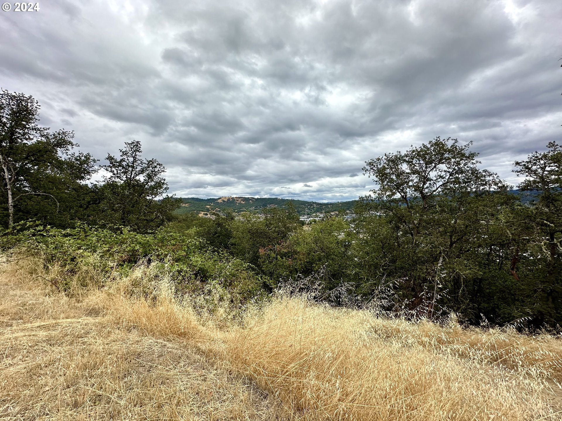 1930 NW DOGWOOD ST, Roseburg, OR, 97471