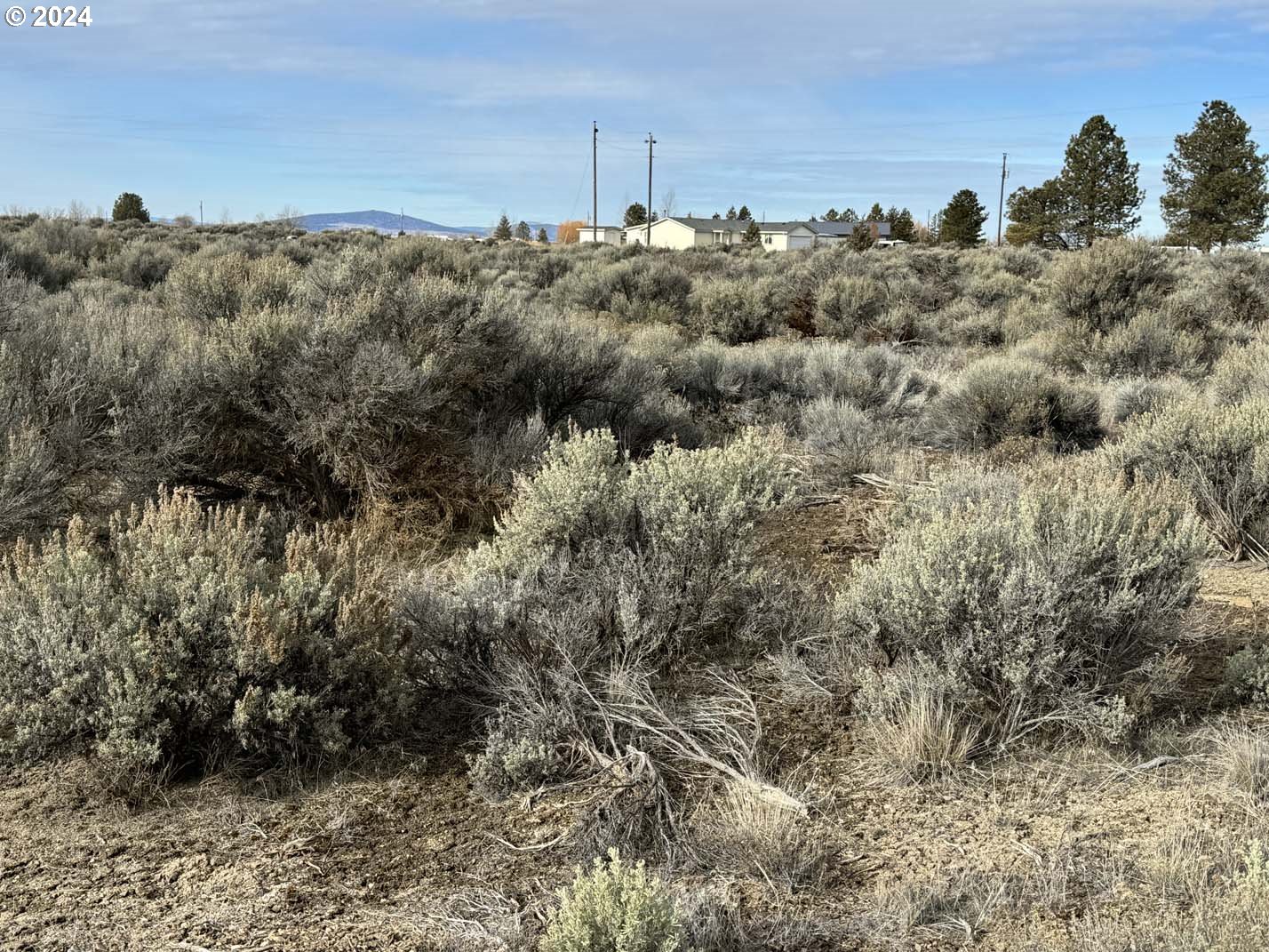 Search Homes for Sale