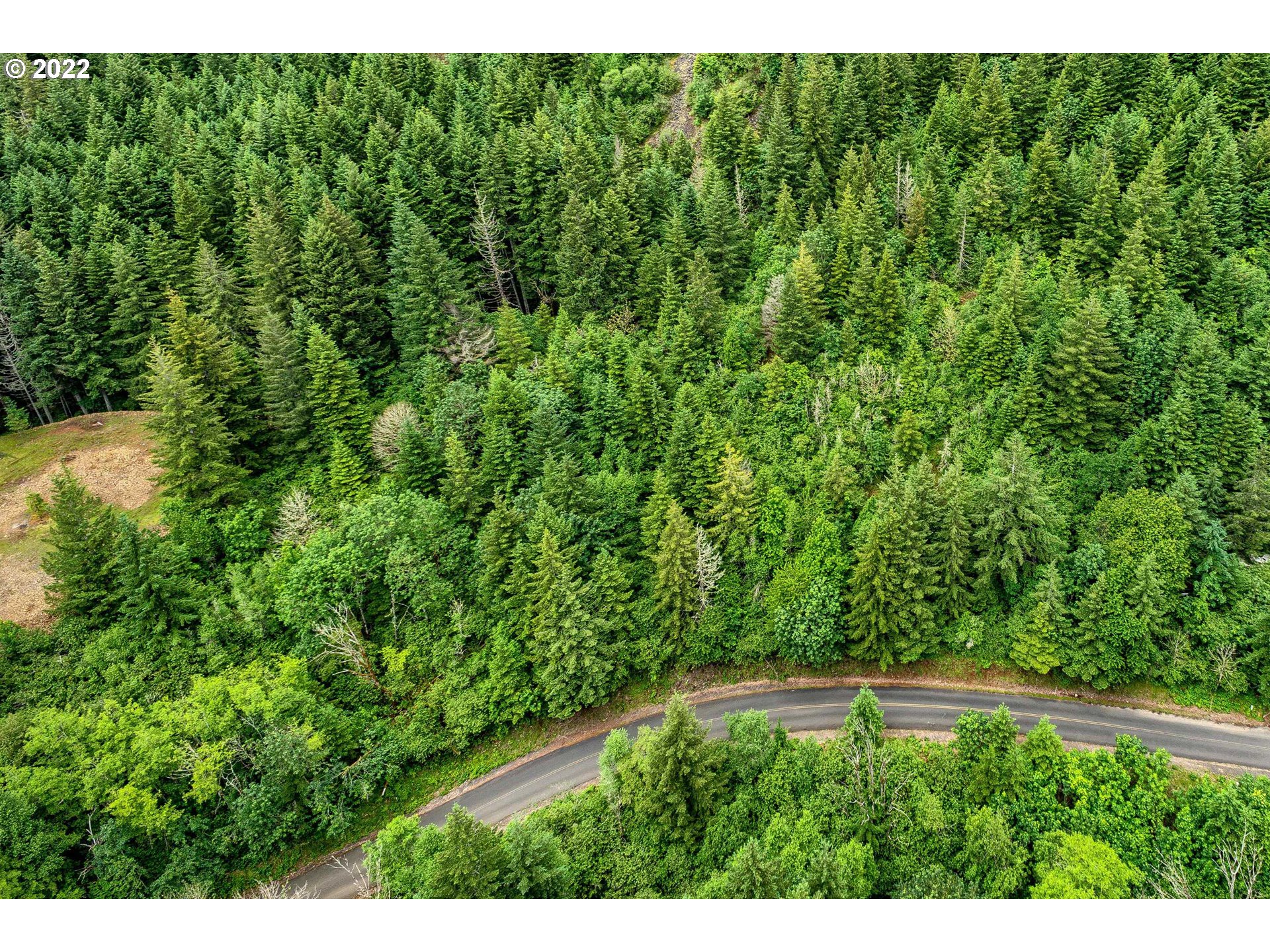  Archer Mountain Rd, Skamania, WA 98648