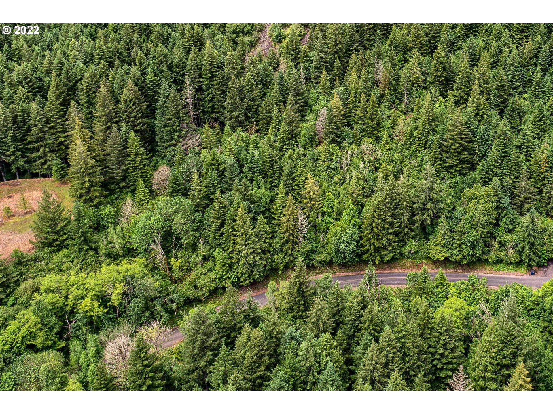  Archer Mountain Rd, Skamania, WA 98648