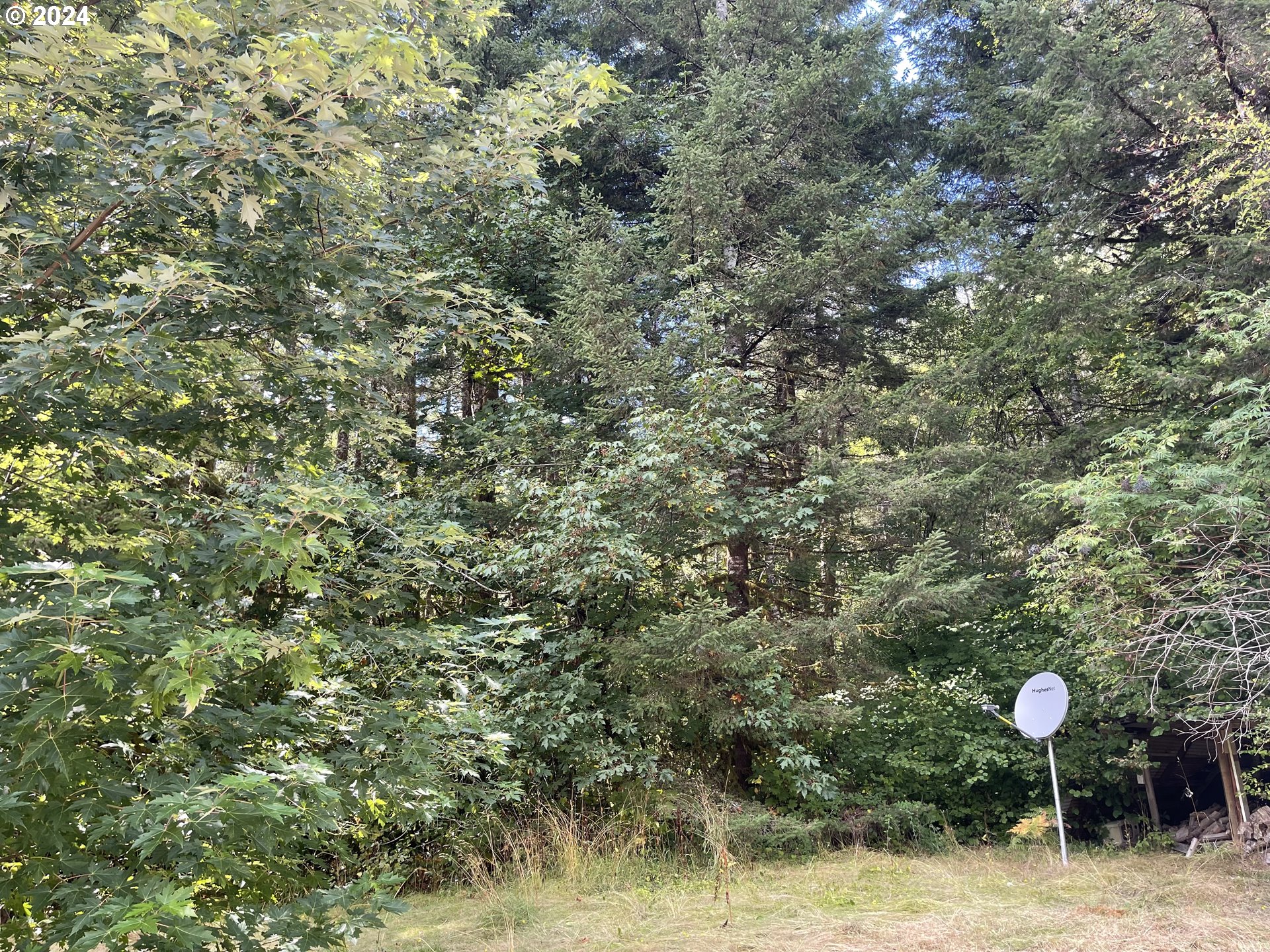 58525 SW HEBO RD, Grand Ronde, OR, 97347