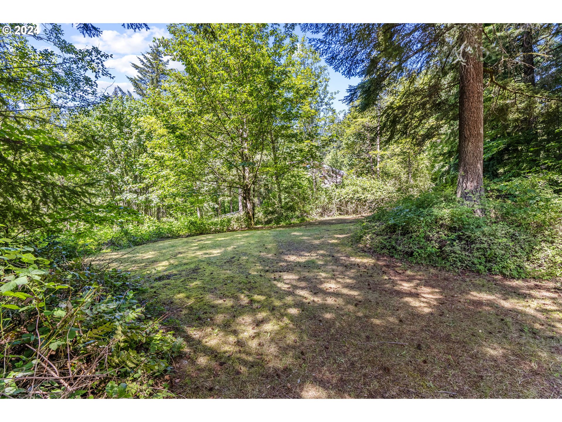 22518 NE 251st Ave, Battle Ground, WA 98604