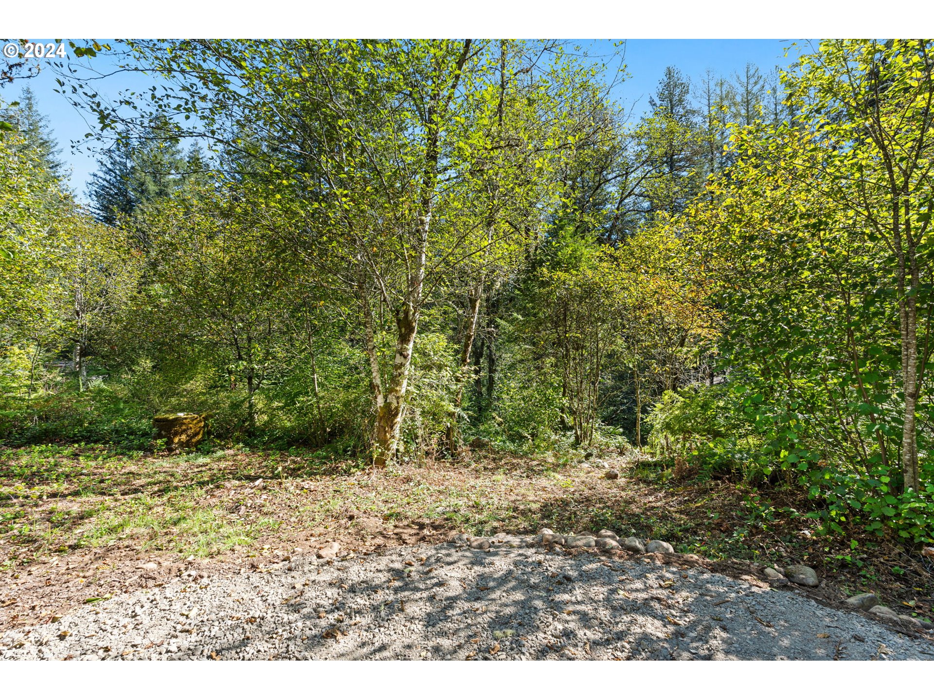 30815 NE Sunset Falls Rd, Yacolt, WA 98675