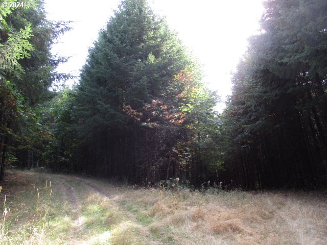 42836 HENSLEY HILL RD, Port Orford, OR, 97465