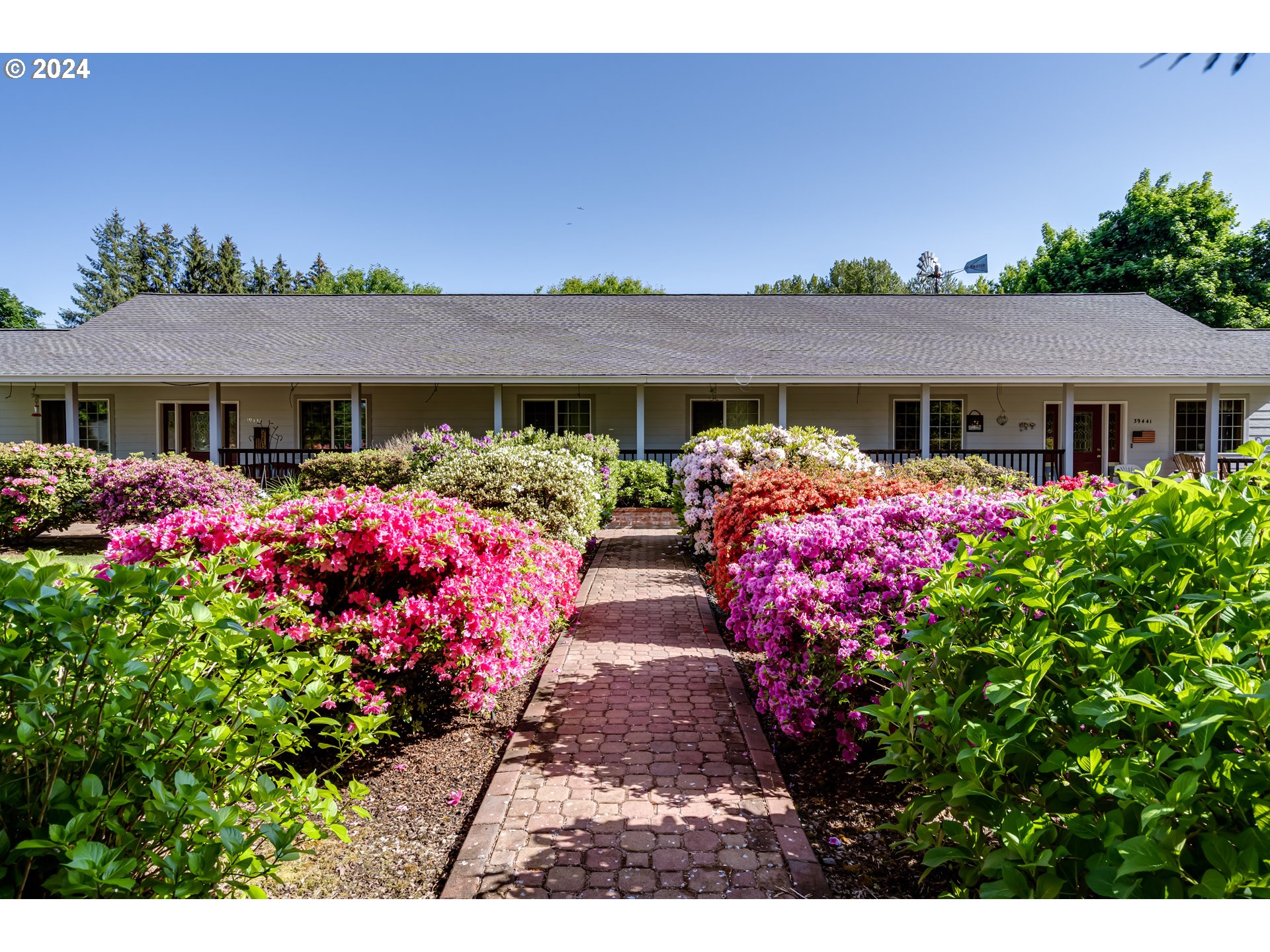 Springfield Springfield