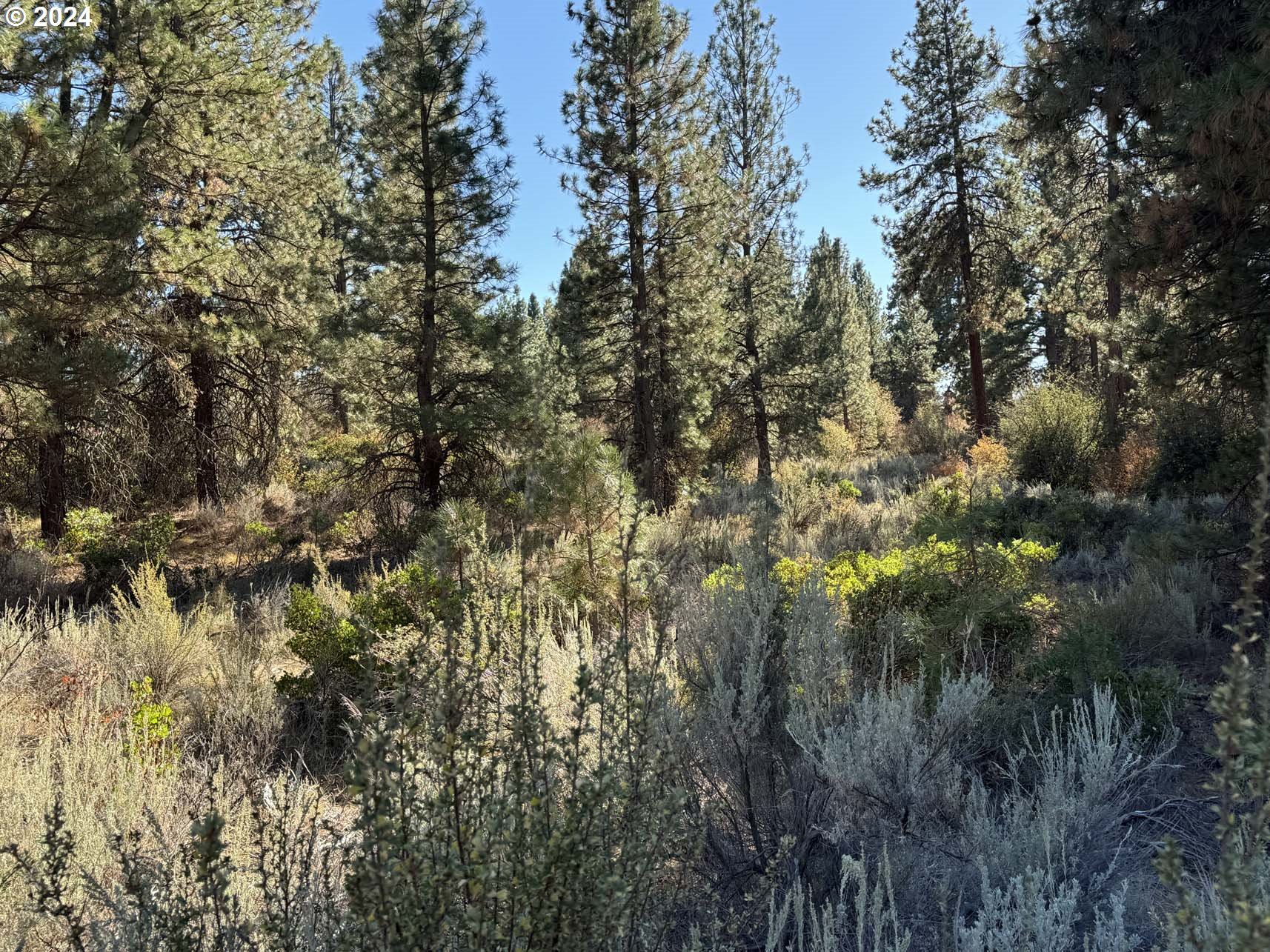 Search Homes for Sale