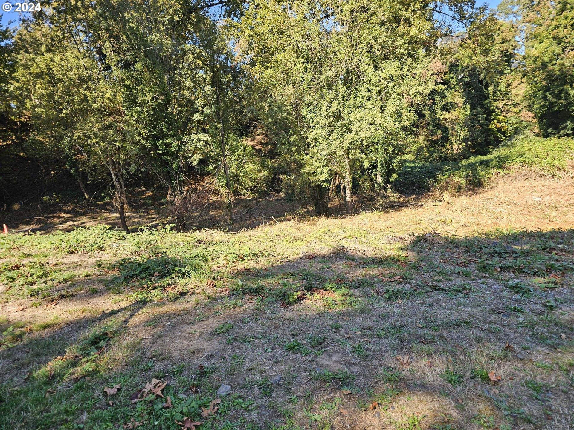 Search Homes for Sale