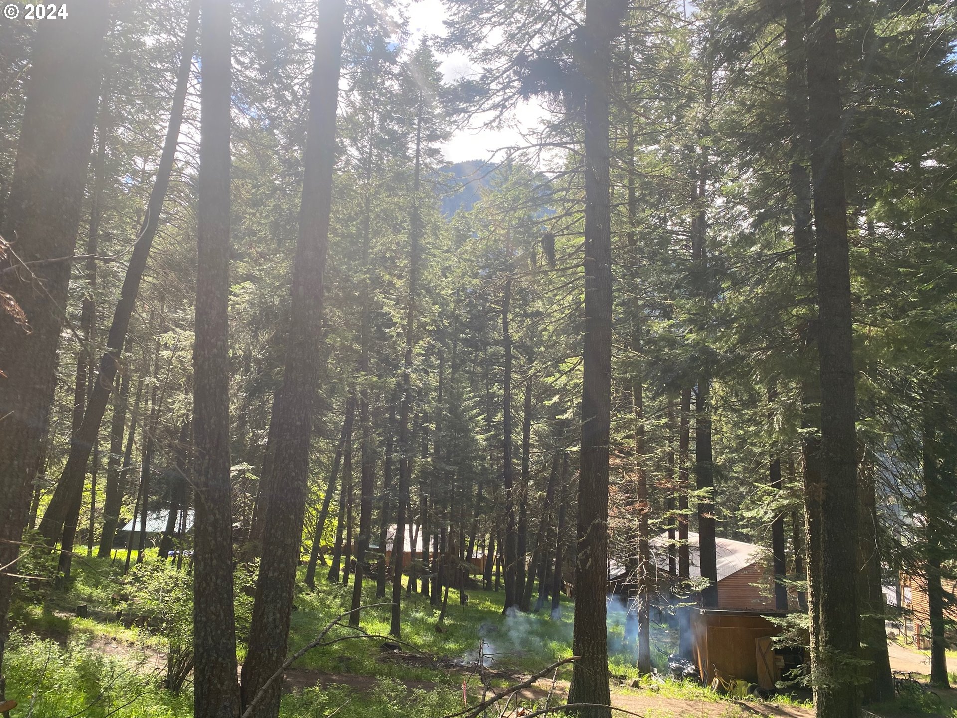 Land for sale in Wallowa Lake, Oregon, 24330403