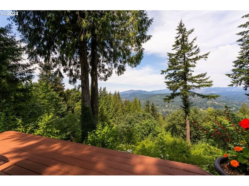 71  Cedar Fork Ln, Washougal, WA 98671