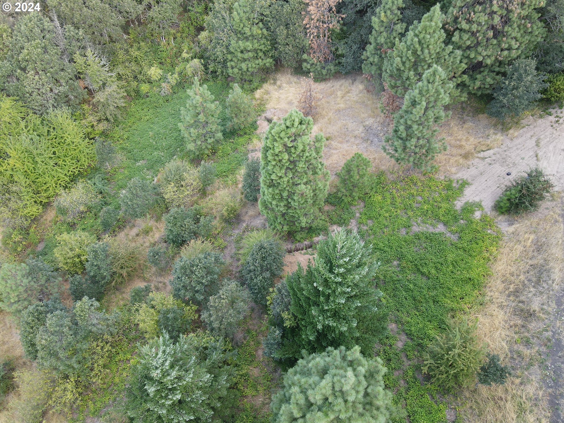 141 HWY, White Salmon, WA, 98672