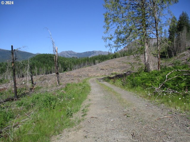 Photo of 000 Green Mountain RD Gates OR 97346