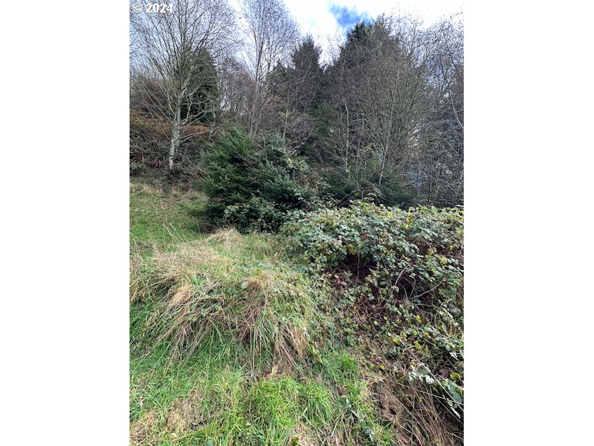 Search Homes for Rent