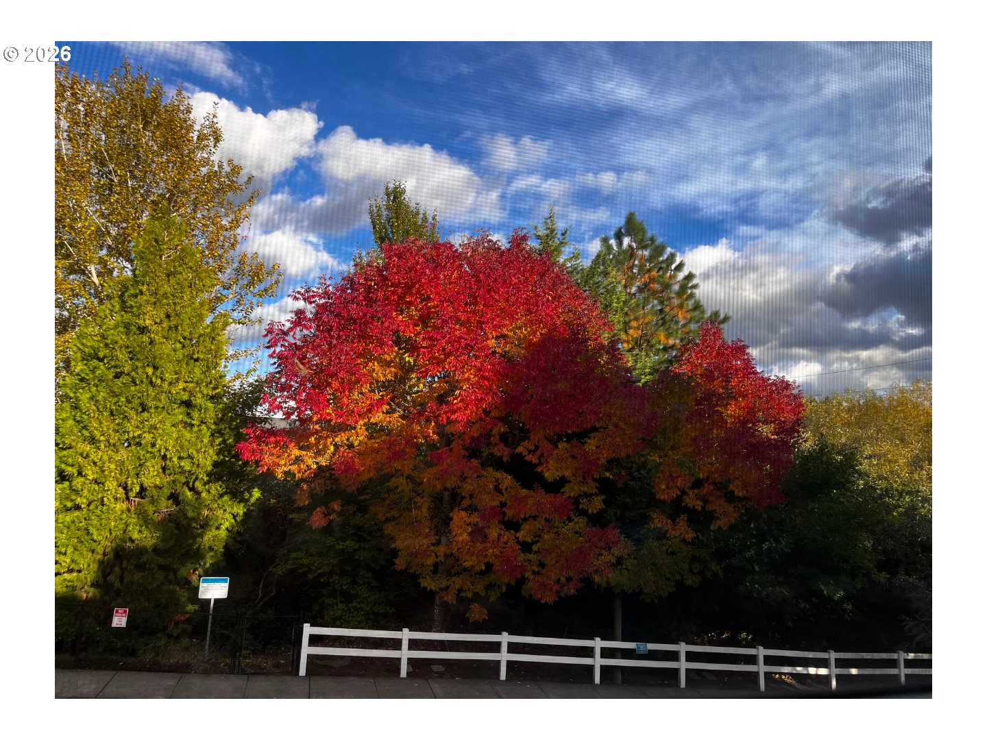 Photo #24: 243832988 Listing: Photo #24