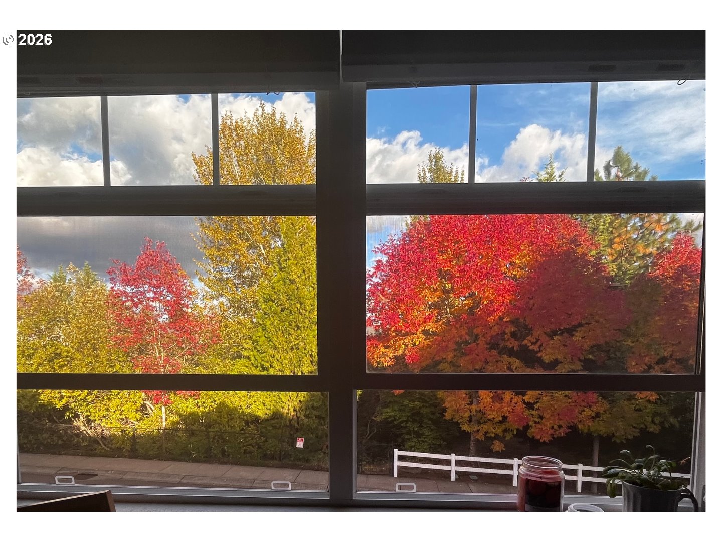 Photo #23: 243832988 Listing: Photo #23