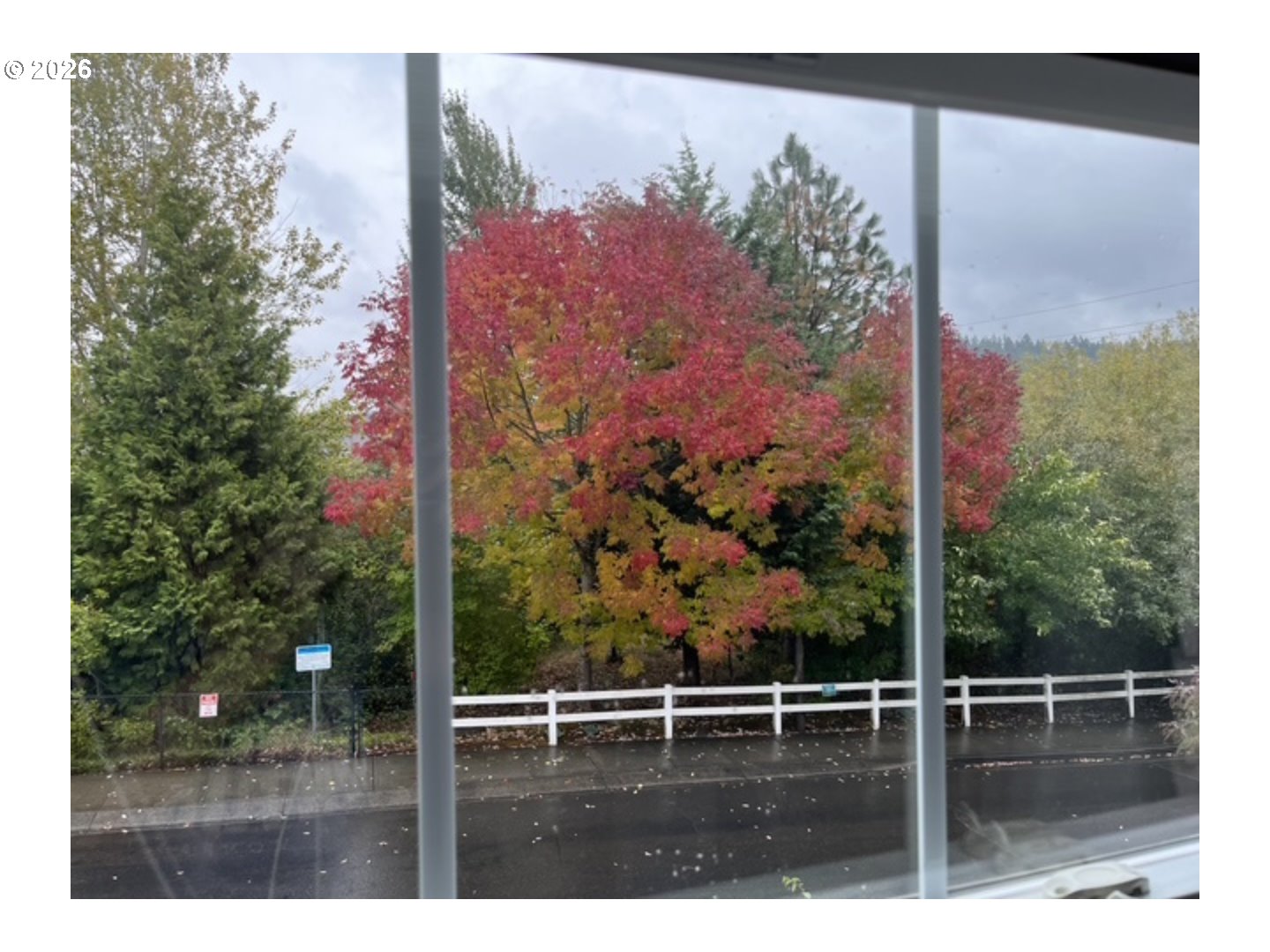 Photo #25: 243832988 Listing: Photo #25