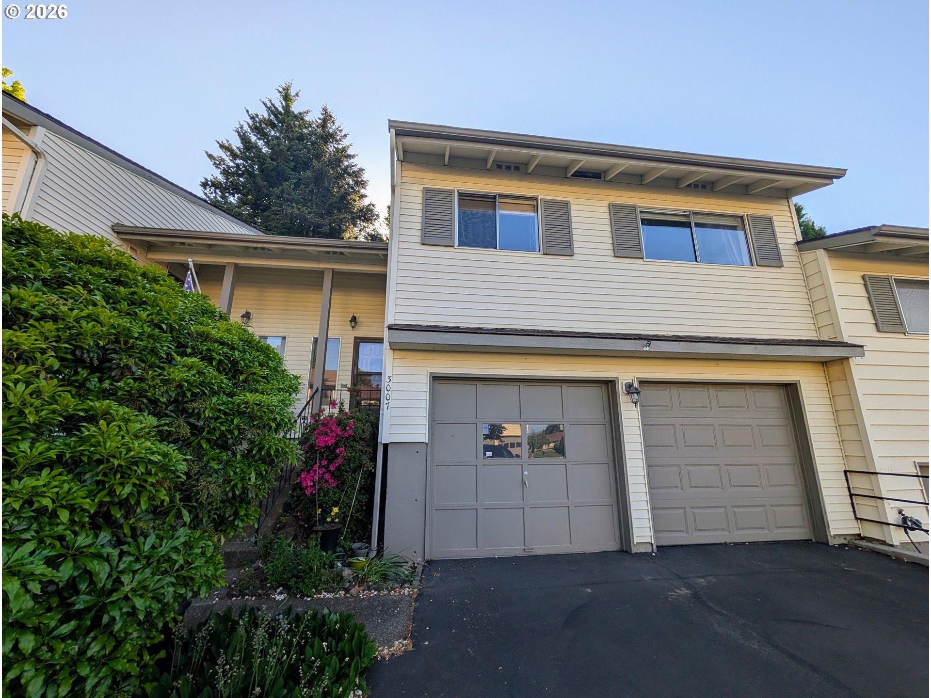 Photo #3: 243887319 Listing: Photo #3