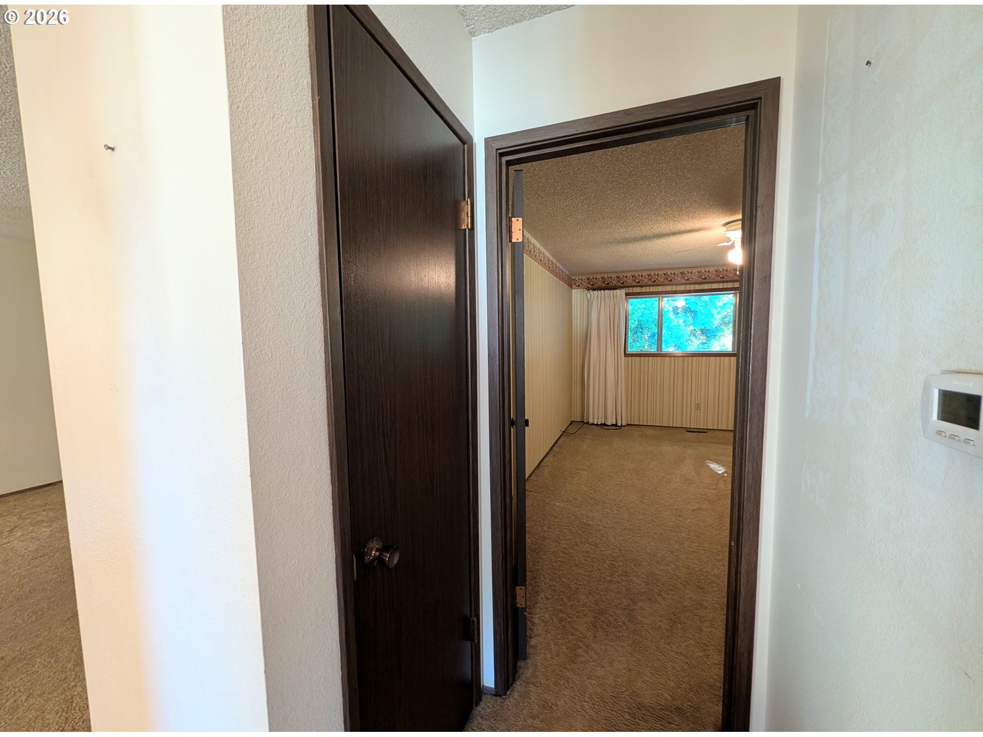 Photo #12: 243887319 Listing: Photo #12