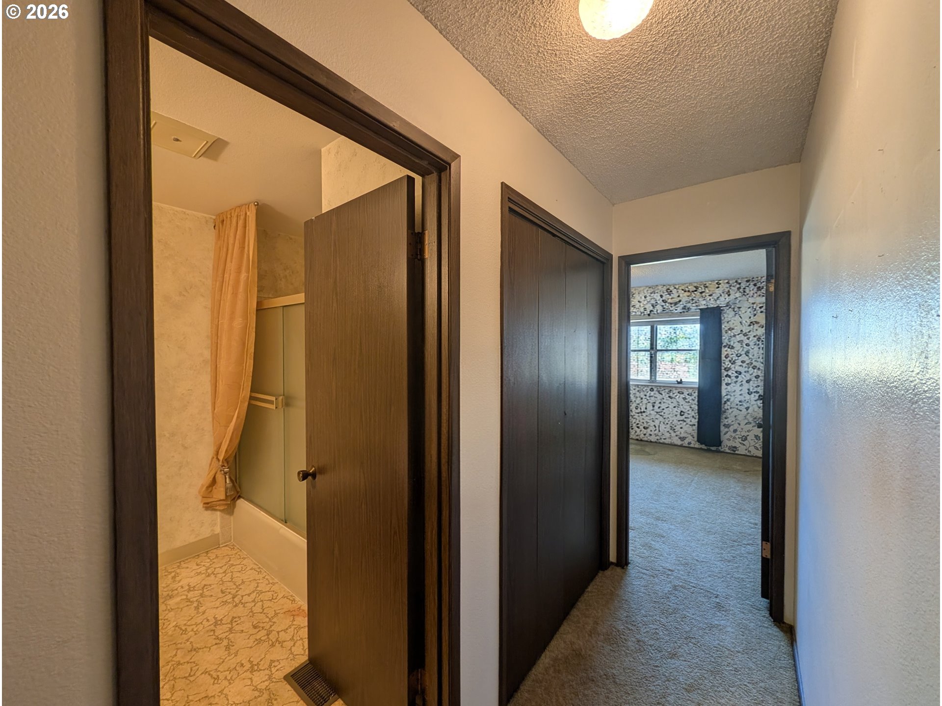 Photo #11: 243887319 Listing: Photo #11