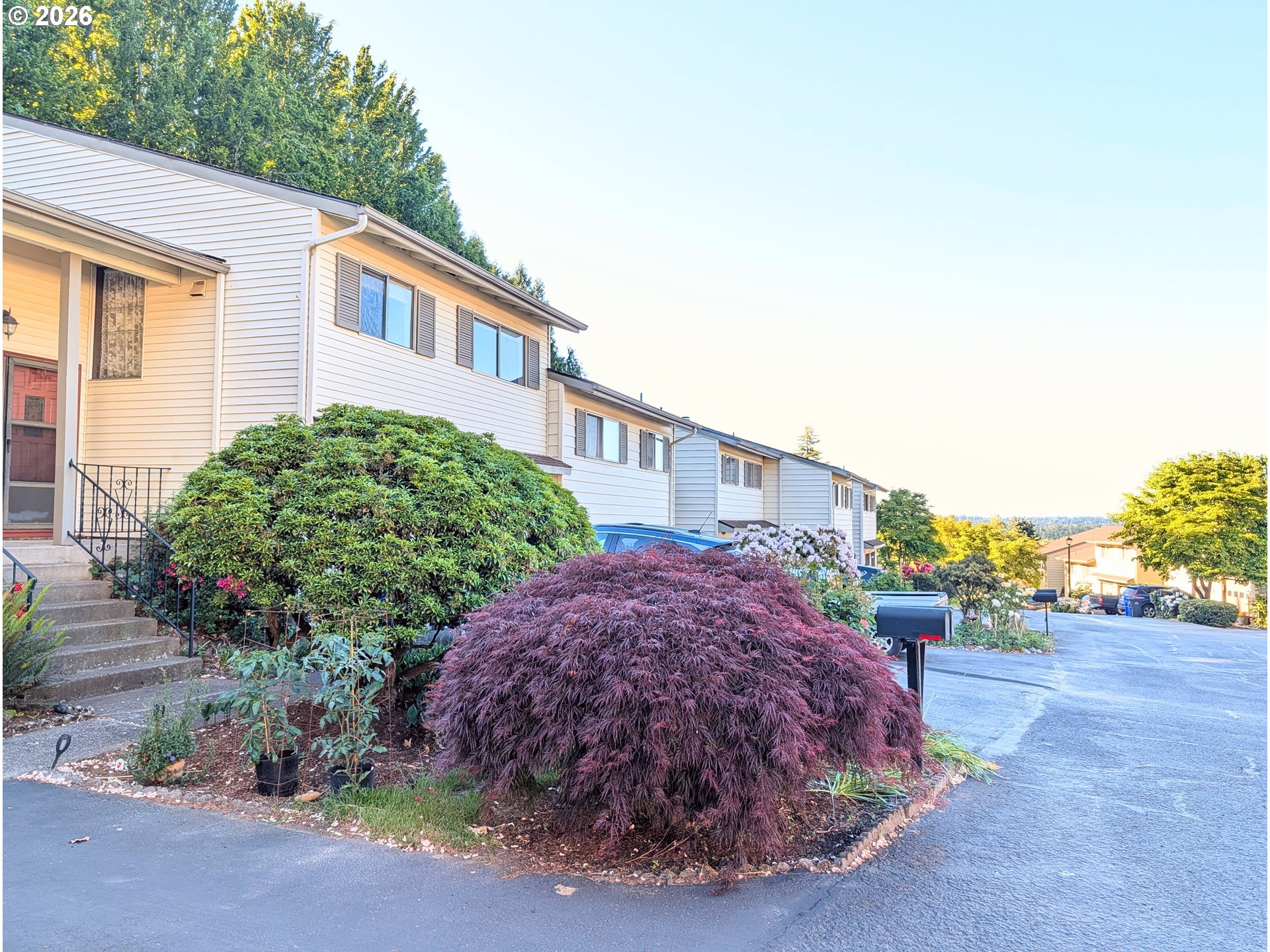 Photo #36: 243887319 Listing: Photo #36