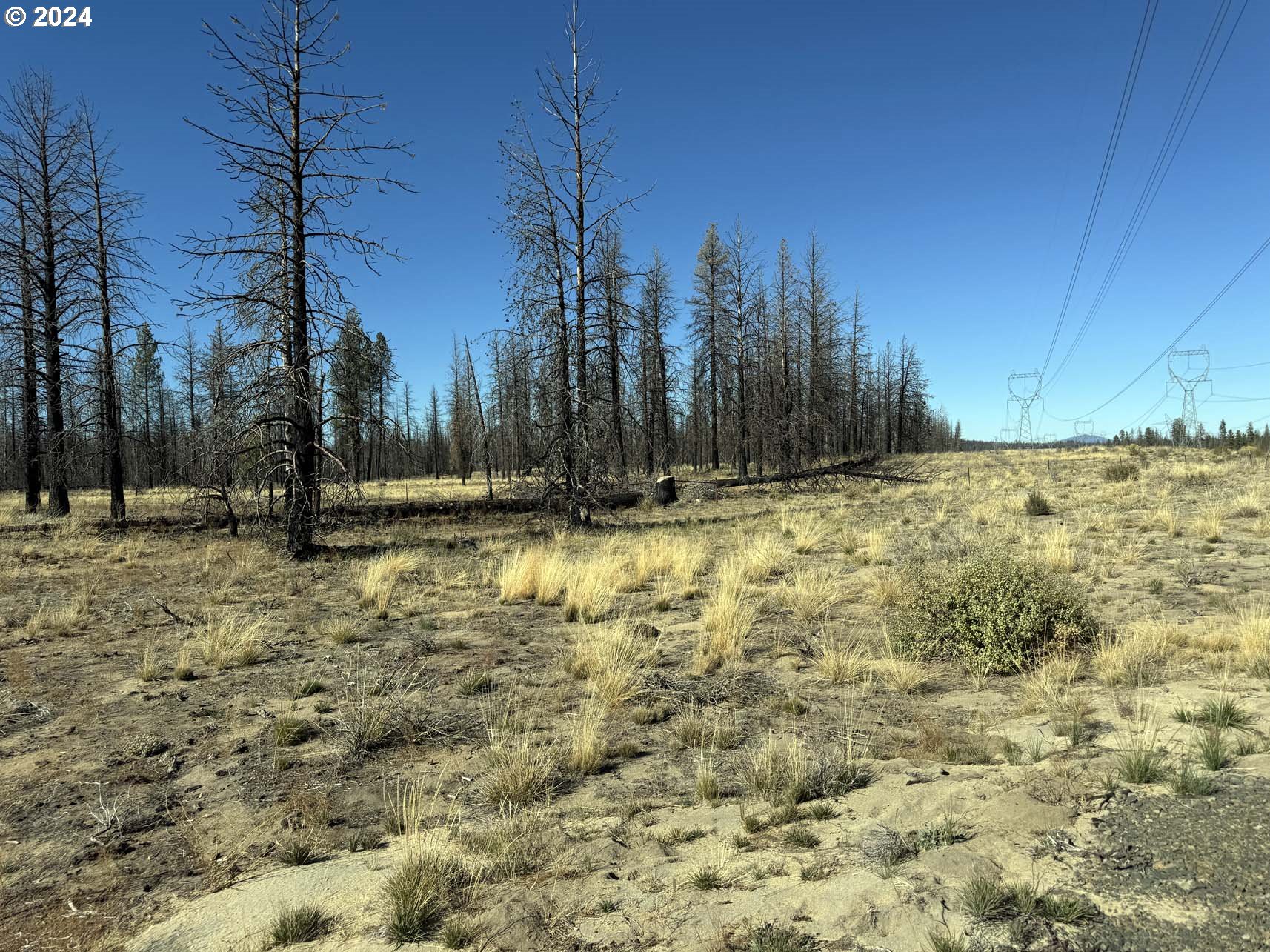 Search Homes for Sale