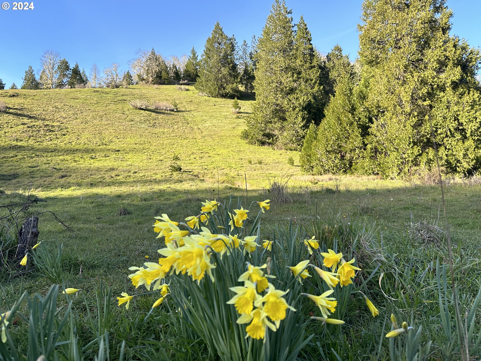 2051 SIBOLD CANYON RD, Tenmile, OR 97481