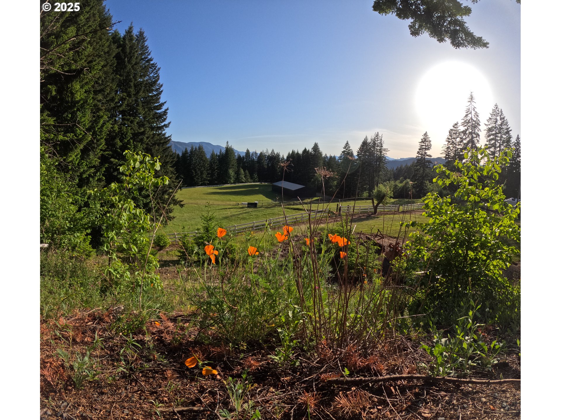 162 BYLIN RD, Stevenson, WA, 98648