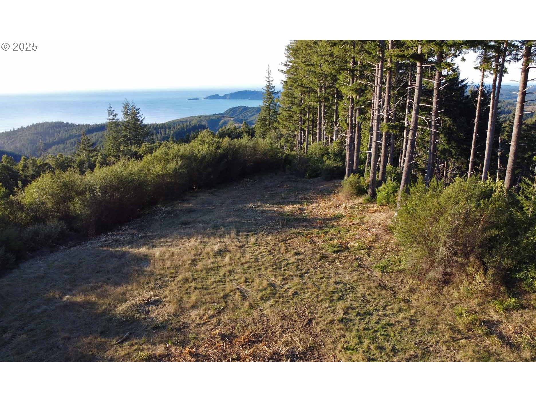 Photo of 0 China Mountain RD Port Orford OR 97465