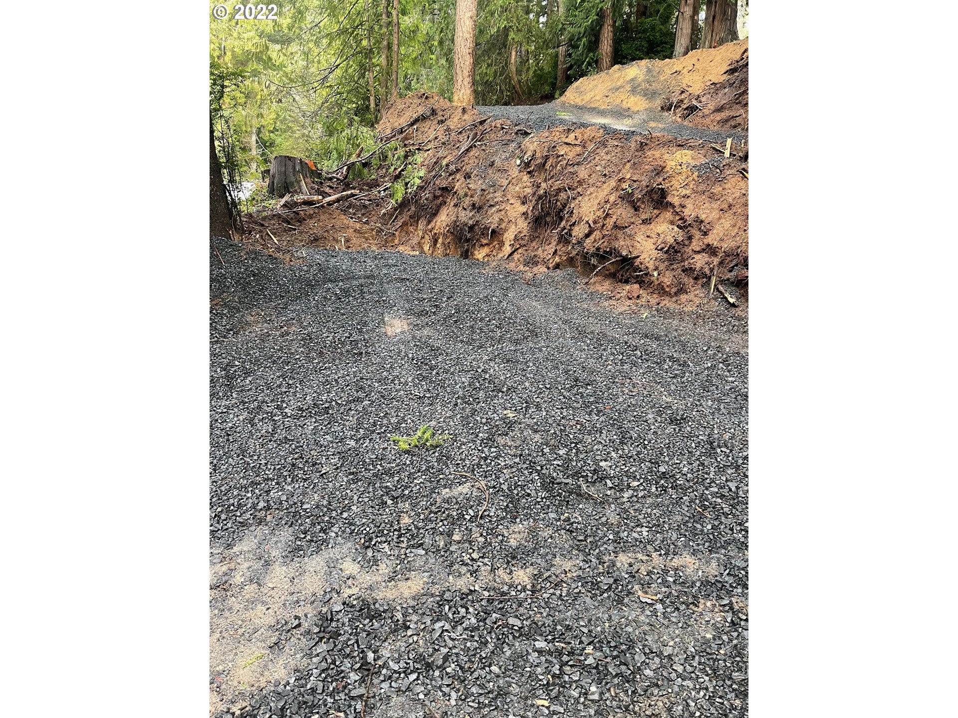 Search Homes for Sale