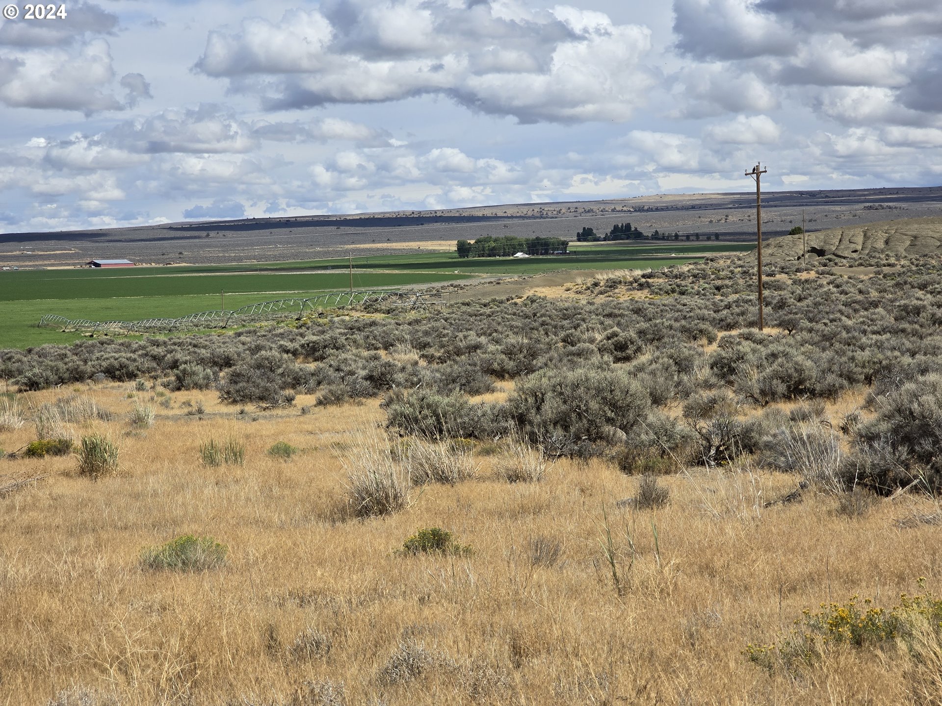 Photo of Chinook Christmas Valley OR 97641