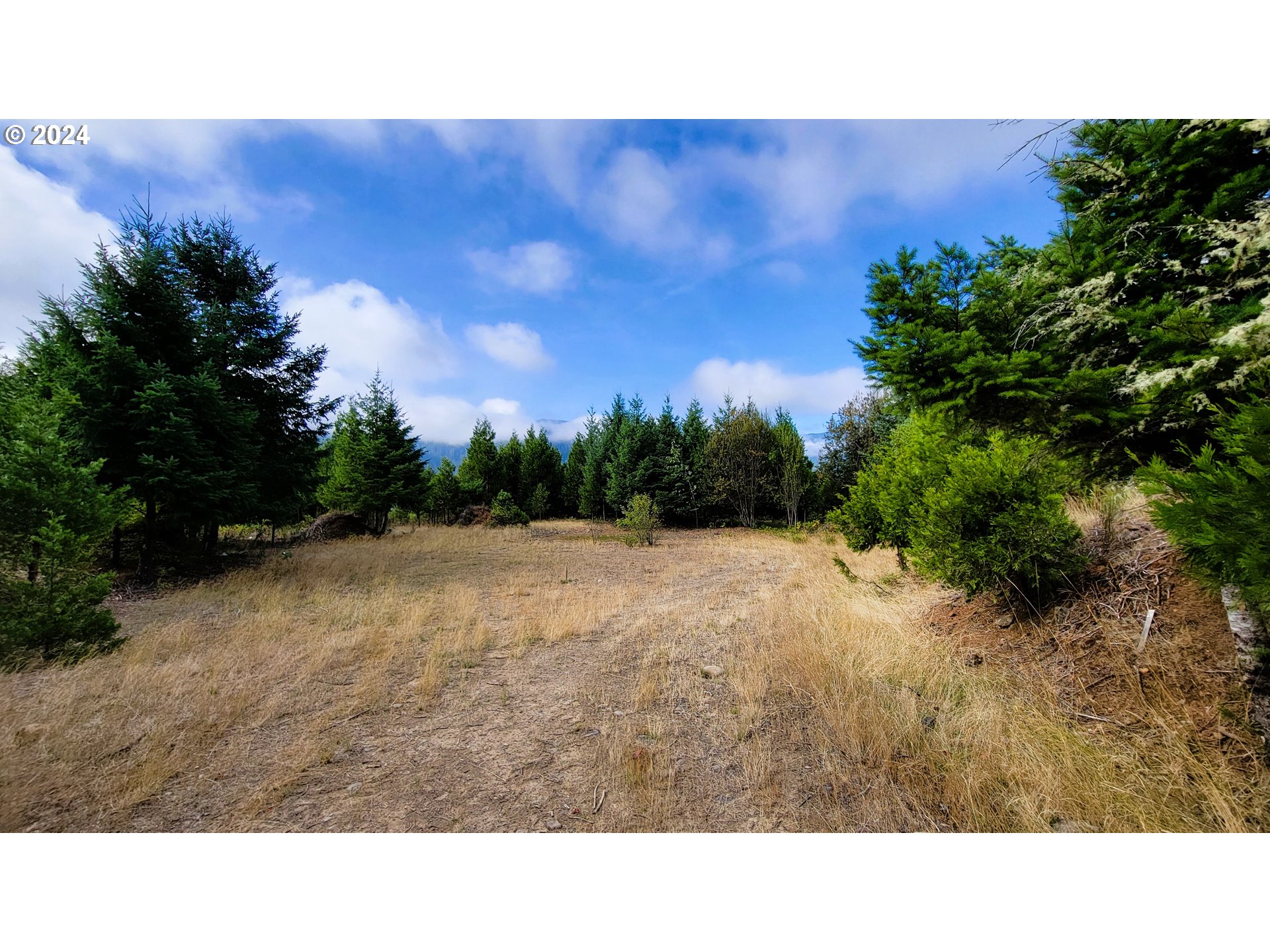 Photo of Laurel Butte DR Oakridge OR 97463