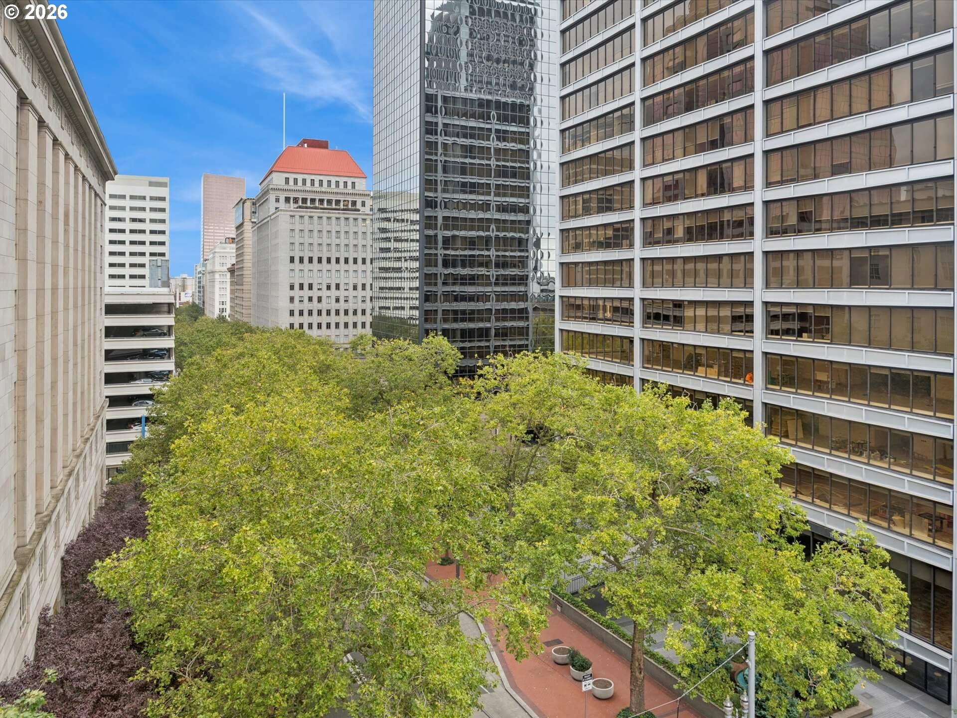 Photo #36: 244453260 Listing: Photo #36