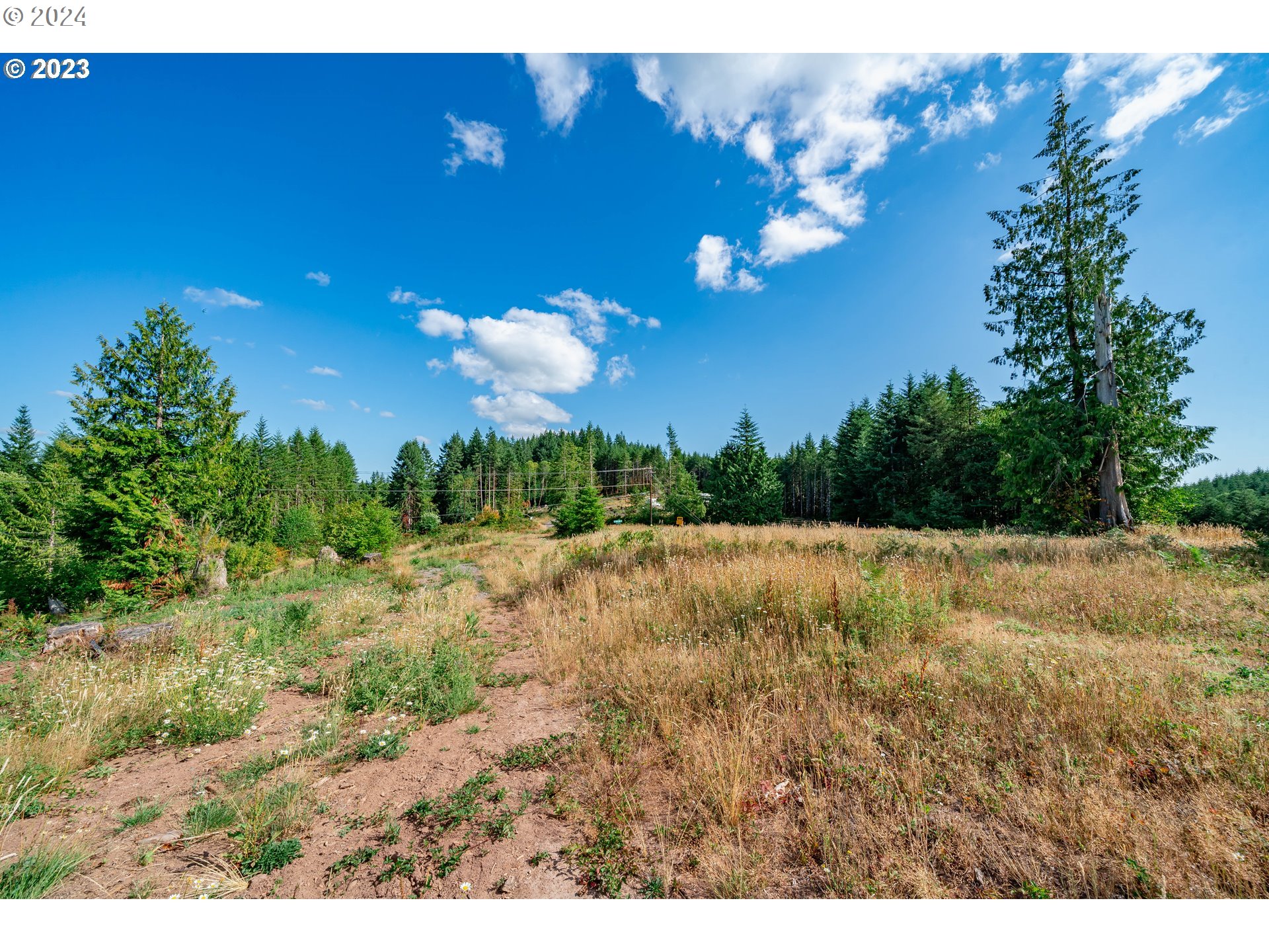 Photo of 0 Silver Lake Castle Rock WA 98611