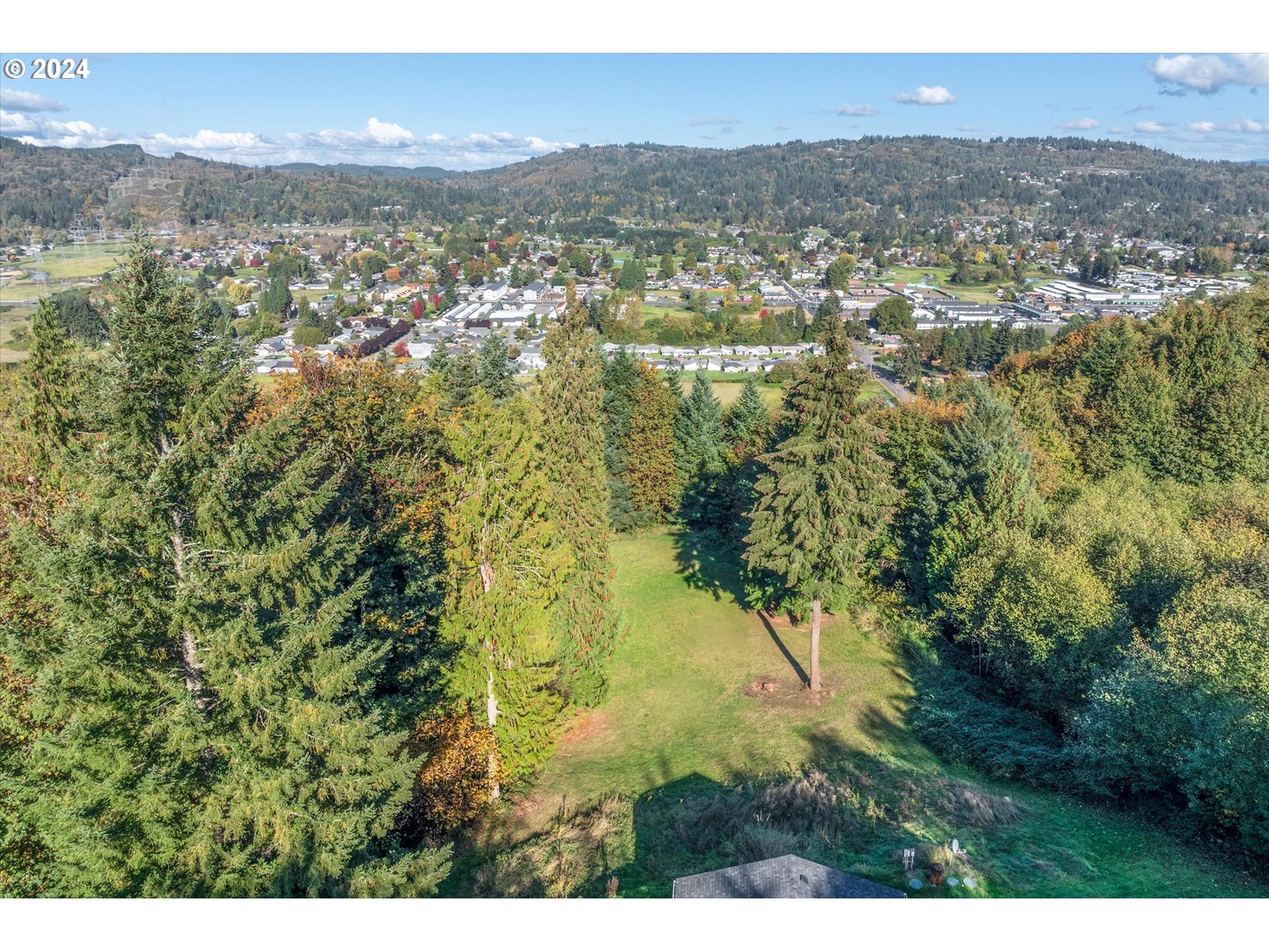 115  Ridgecrest Ln, Longview, WA 98632