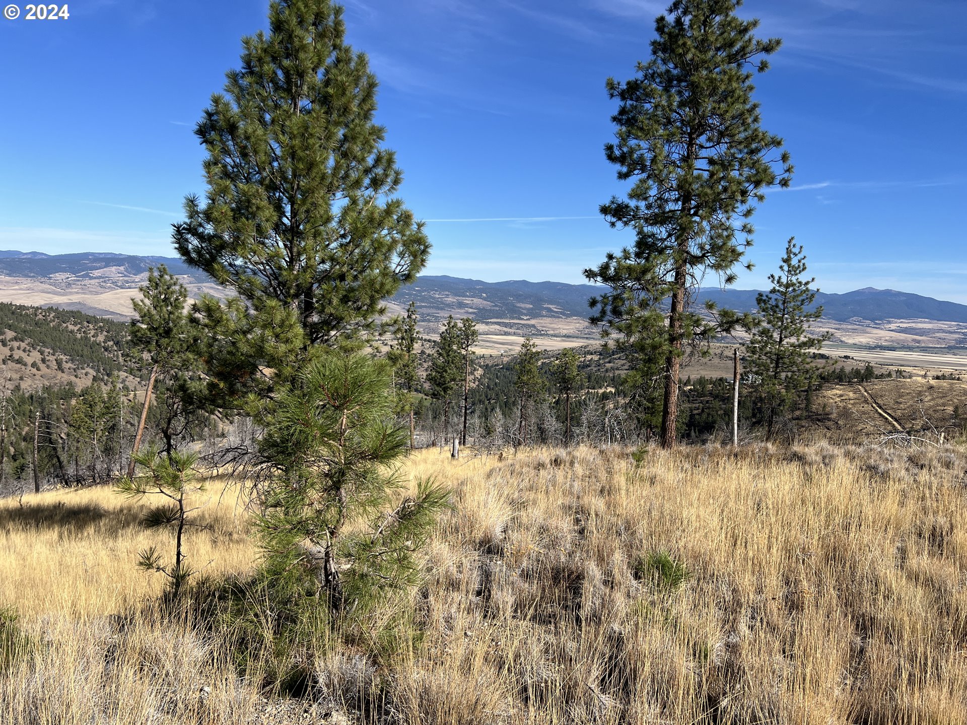 Photo of 25422 Baldy Mountain RD John Day OR 97845