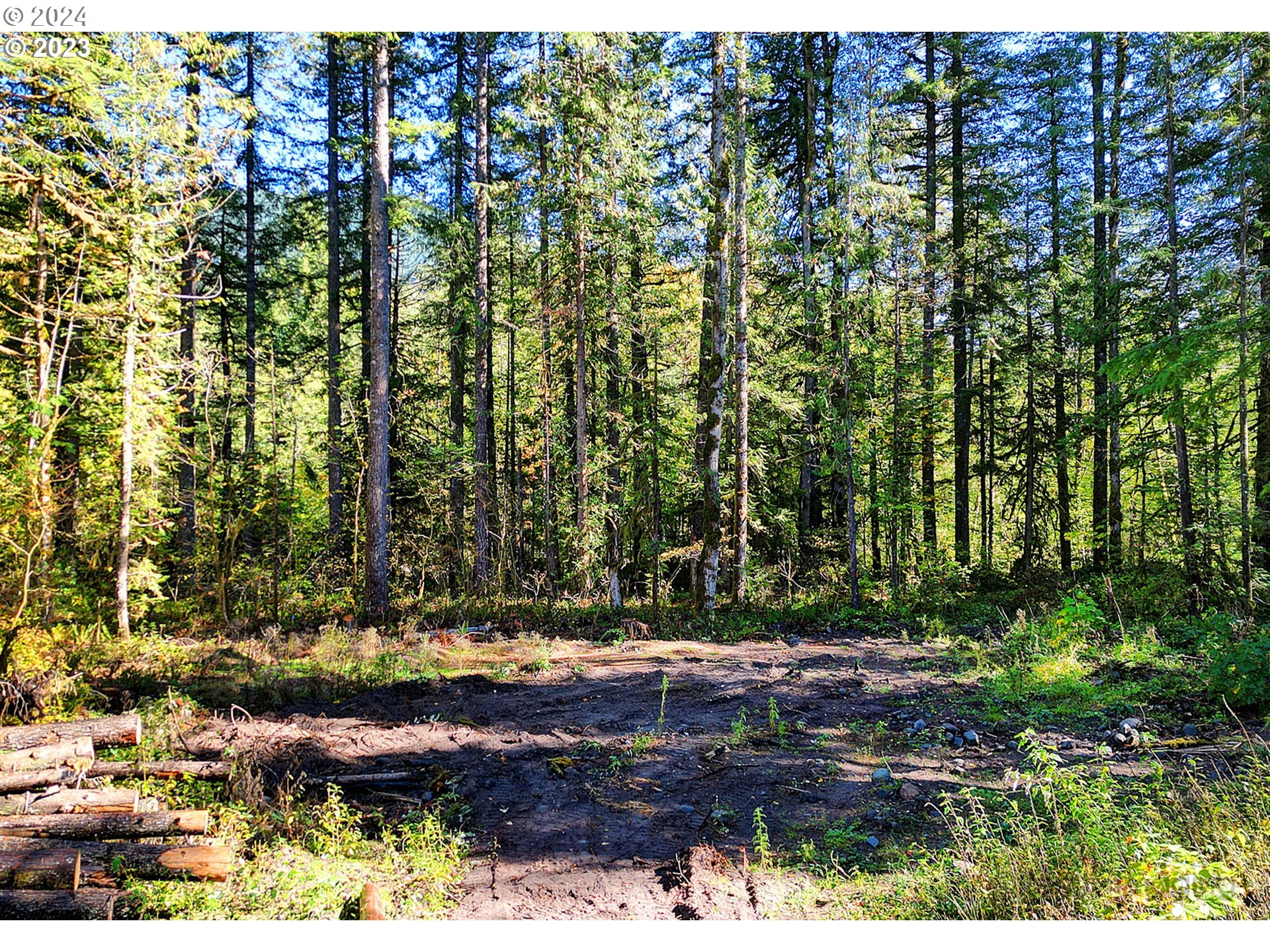 64293 E BRIGHTWOOD LOOP RD, Brightwood, OR 