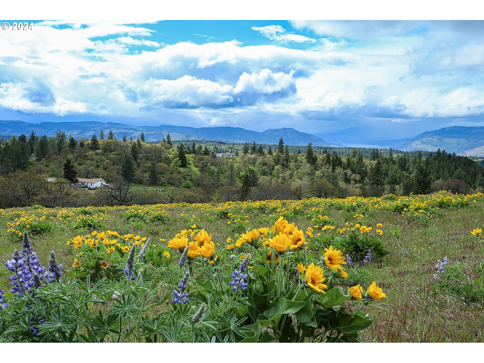 Photo of Martin RD Mosier OR 97040