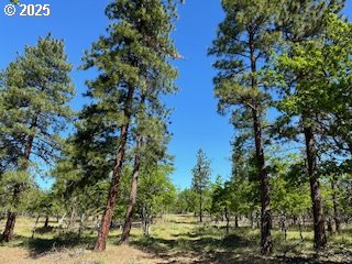 Photo of 00 D PINE RD Goldendale WA 98620