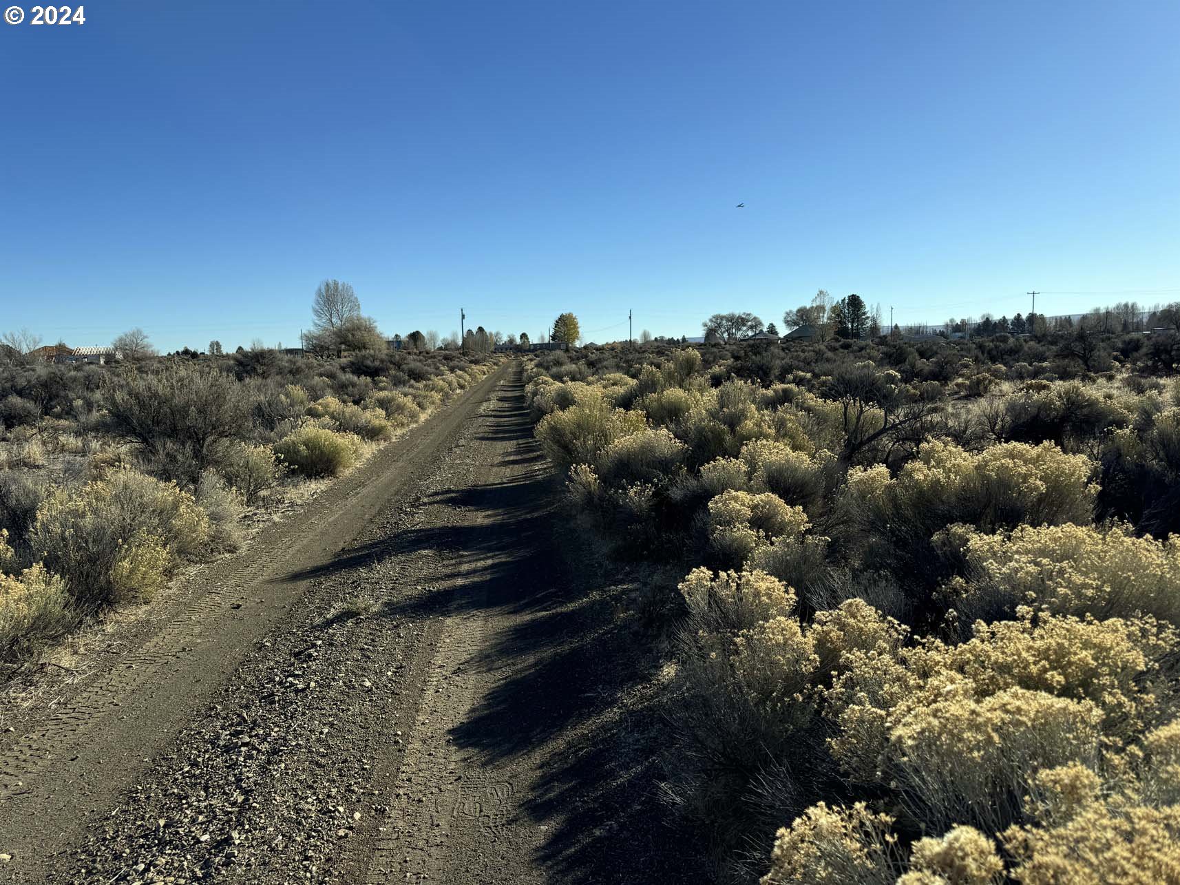 Photo of Alder ST Christmas Valley OR 97641