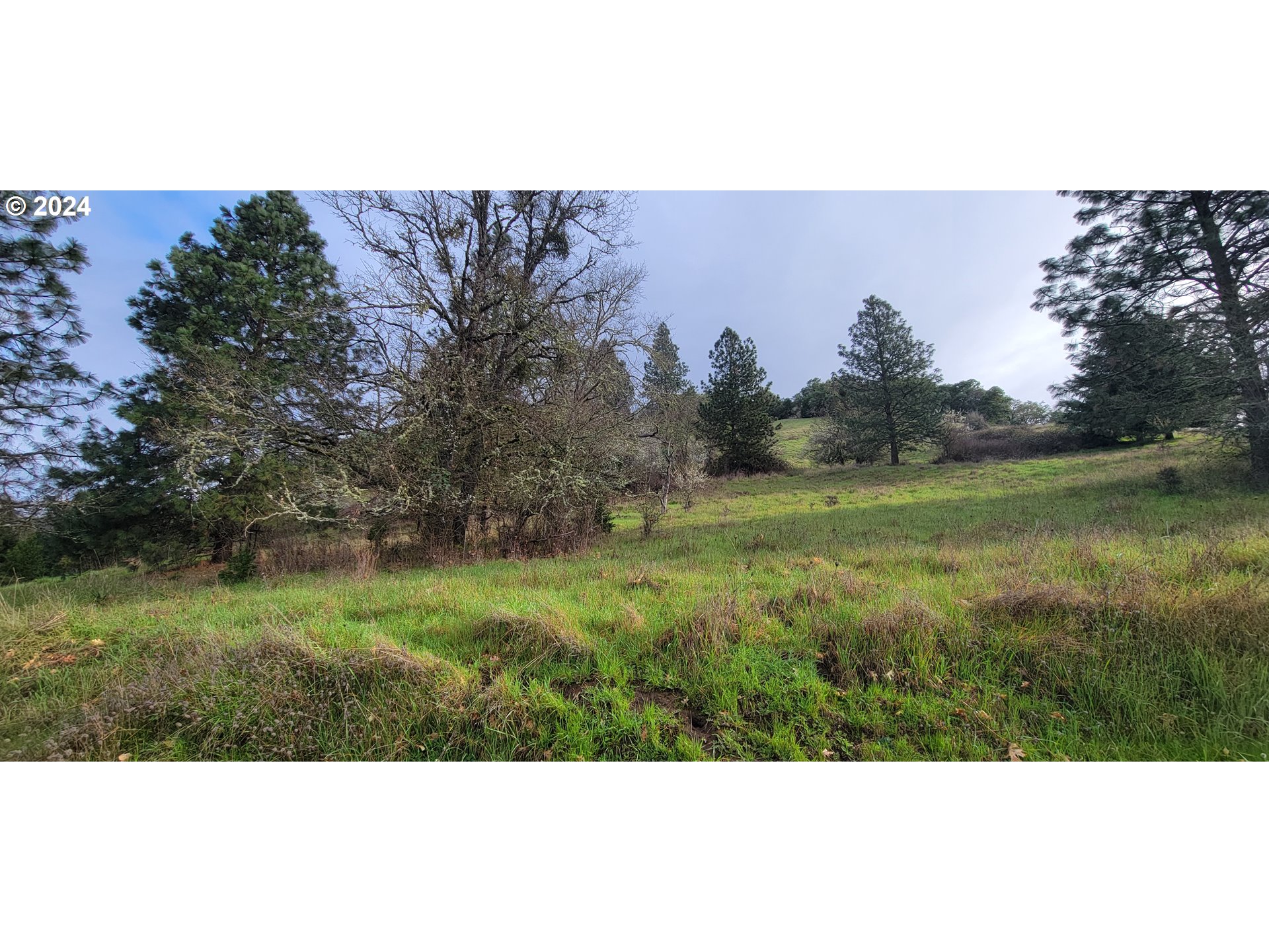 Search Homes for Sale