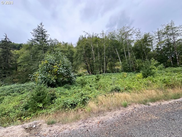 Photo of 0 Dubois RD Ariel WA 98603