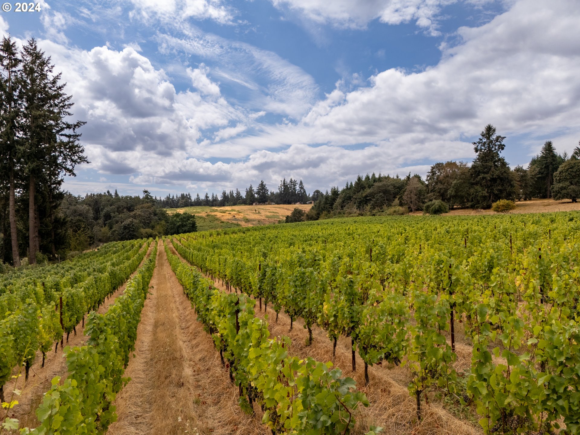 30199 SW HIGHWAY 34, Albany, OR, 97321