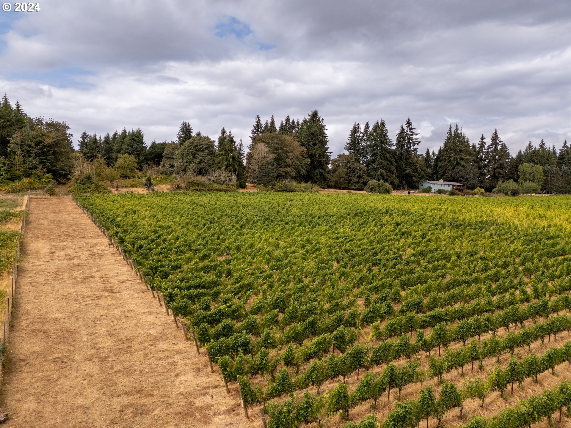 10420 SE HILLVIEW DR, Amity, OR, 97101