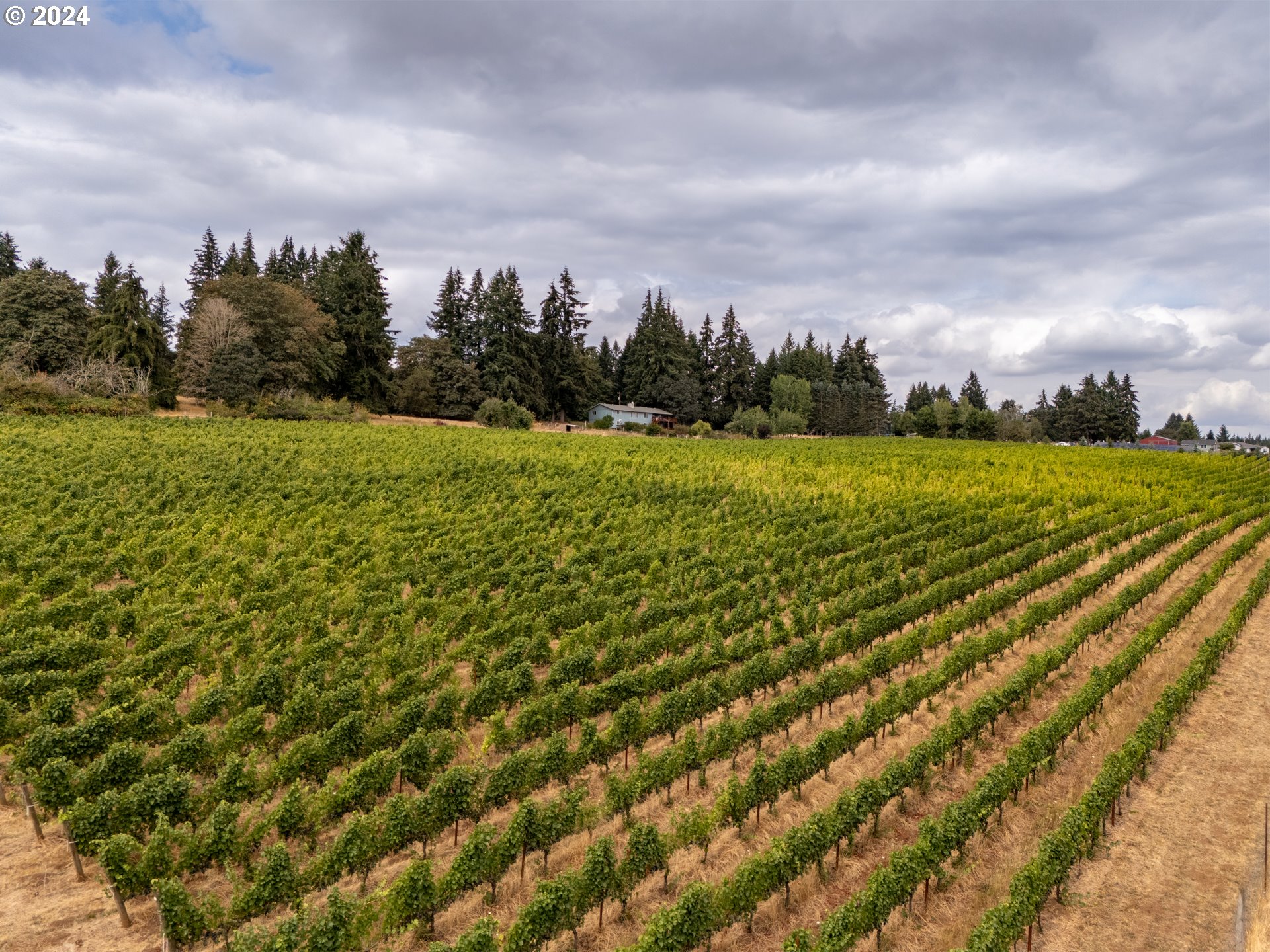 10420 SE HILLVIEW DR, Amity, OR, 97101